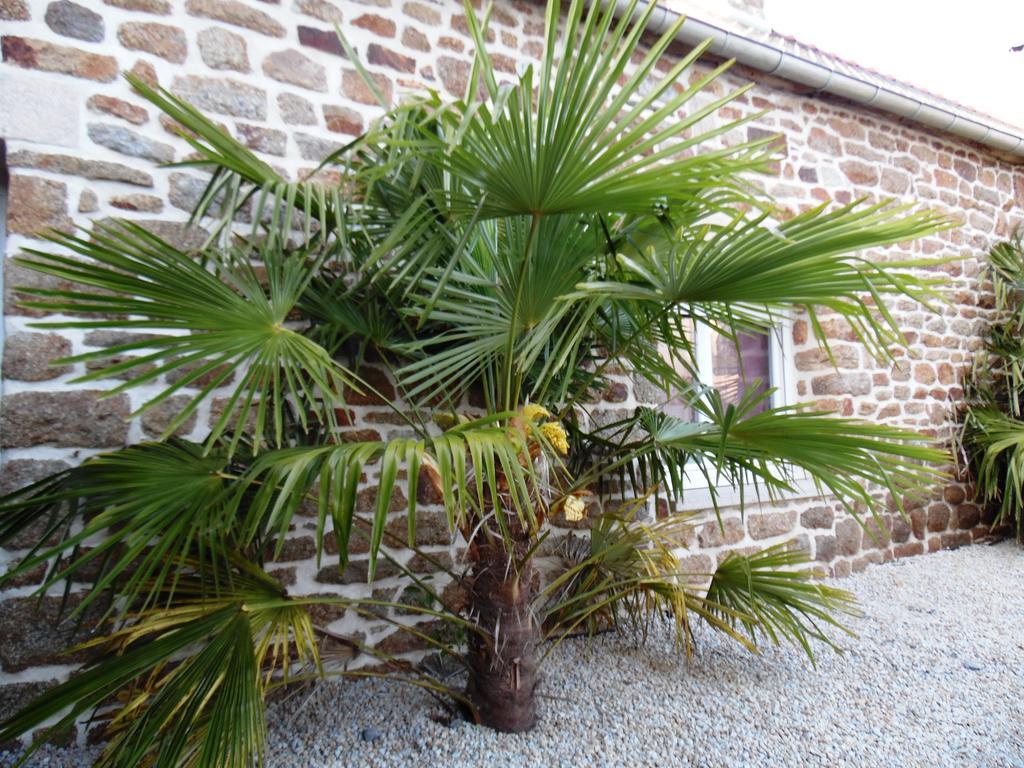 Gite Mont Saint Michel "Aucoeurdelabaie" Sains Exterior photo